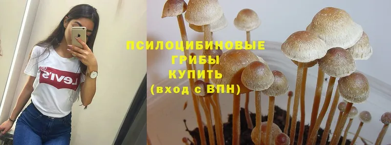 Псилоцибиновые грибы MAGIC MUSHROOMS  Стрежевой 